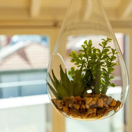 View- Trindade Lovely * פורטו