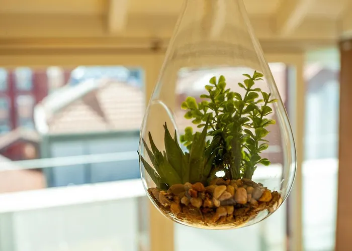 View- Trindade Lovely * Porto